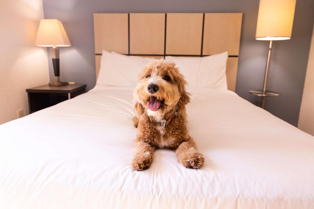 Sonesta Simply Suites Boston Брейнтри Экстерьер фото
